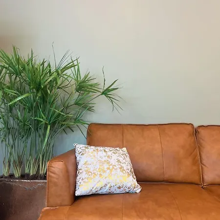Lovely 1-bedroom With Patio And Sauna Apartment